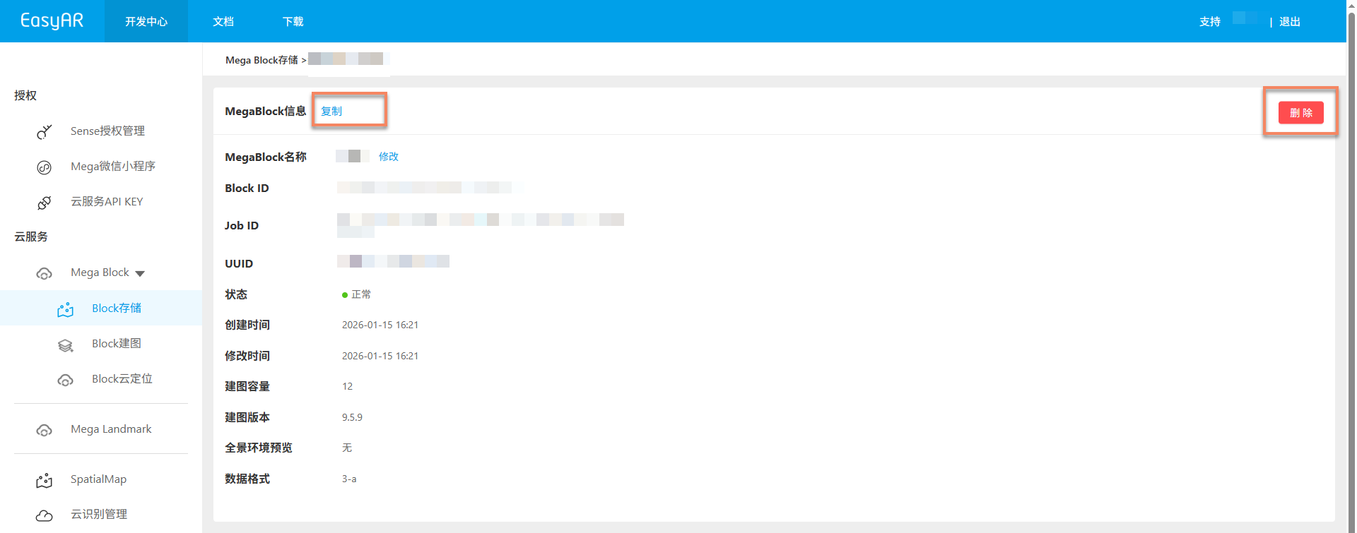 Block details information